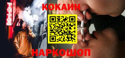 гашик Кингисепп