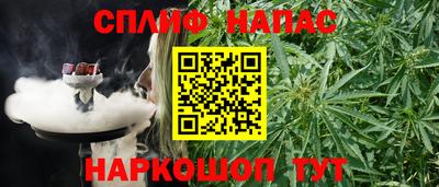 гашик Кингисепп