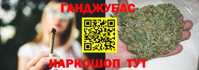 гашик Кингисепп
