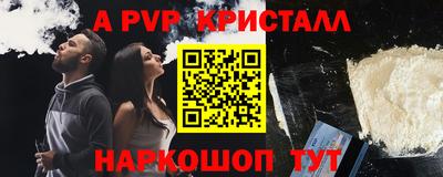 гашик Кингисепп